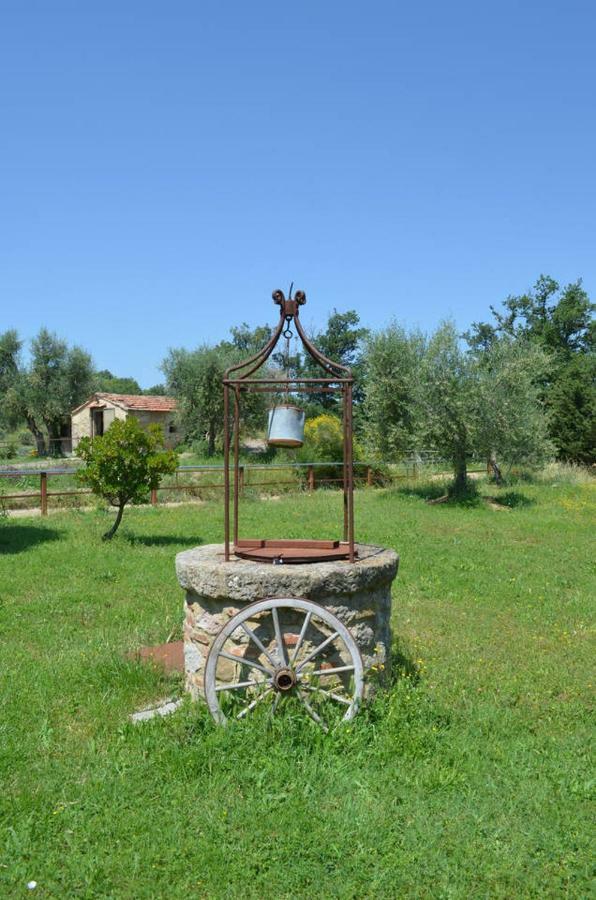 セッジャーノ La Casina Degli Oliviゲストハウス エクステリア 写真